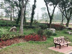 -东莞植物园