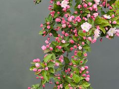 -浙江食府(浙江驻京办店)