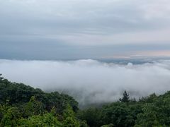 -句容茅山景区