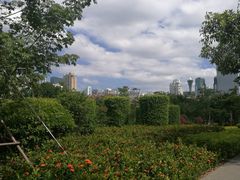 景点-白鹭洲公园