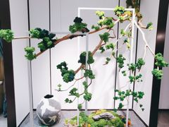 -红星美凯龙(山东全球家居1号店)