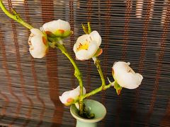 -味钱塘·钱塘渔鲜·地道江浙菜(宋城店)