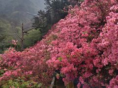 -木兰云雾山