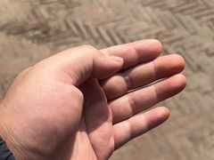 -肯德基(西桥店)