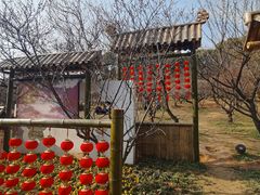 -无锡梅园公园