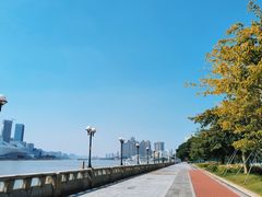 -洲头咀公园