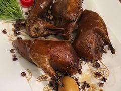 -院8里·少城记忆老川菜(宽窄巷子店)