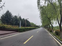 -洨河生态公园