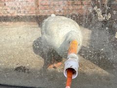 -北京鹿世界主题园