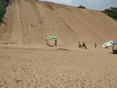 -南戴河国际娱乐中心