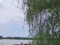 -苏州太湖国家湿地公园