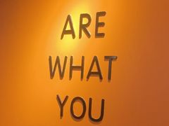 -健身专家Wellness Experts