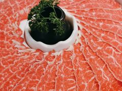 -洪氏嗨捞·猪肚鸡火锅(阳光天地店)