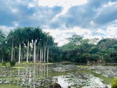 -中国科学院西双版纳热带植物园