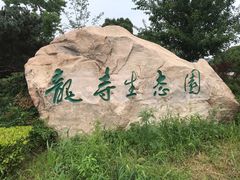 -龙寺生态园