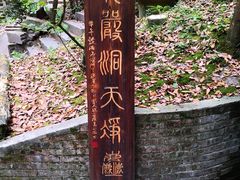 -凤栖山