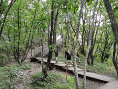 -帽儿山国家森林公园