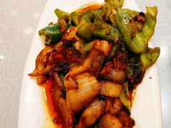 回锅肉-陈麻婆豆腐总店