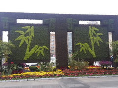android_upload_pic-紫竹院公园冰场