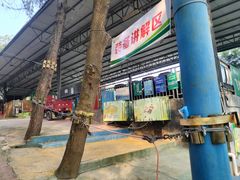 -芦仙山景区-飞越丛林探险乐园