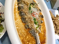 -大连湾旭日·家宴·海肠捞饭(马栏广场店)