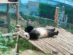 -大连森林动物园