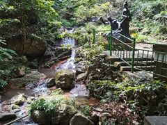 -莫干山风景区