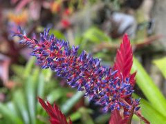 -徐家汇源景区-衡山公园