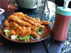 辣鸡条-萨尔瓦多Salvador's