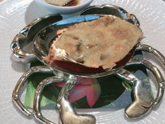 -诺莱仕游艇会