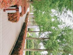 -郑州植物园