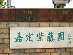 -嘉定紫藤园