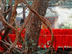 -红螺寺