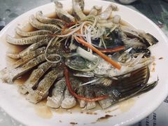 -布尔津河堤夜市
