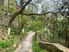 -莫干山风景区