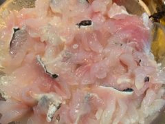 -辣伍鲜毛肚老火锅(元一店)