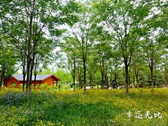 -东郊湿地公园