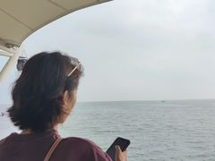 -碧海金沙