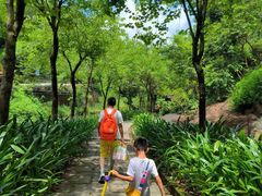 -广州白江湖森林公园