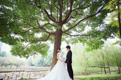 点击看大图 android_upload_pic-太郎花子婚纱摄影艺术中心