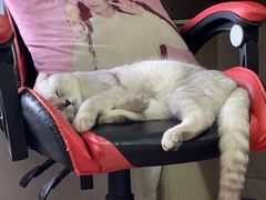 -大玩家(拱墅万达店)