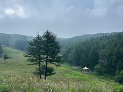 -驼梁风景区