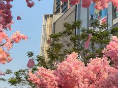 -东莞松山湖万象汇