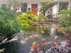 -聚福宝合苑食府(南头镇店)