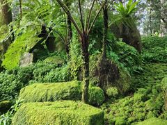 -新加坡植物园