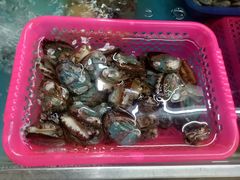 -正能量1号海鲜加工店