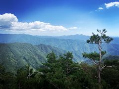 -牛背梁国家森林公园