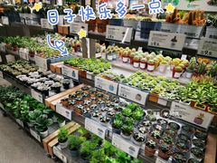 -鹿岛生活(熙地港店)