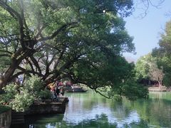 -西溪国家湿地公园