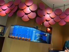 -望蓉城·古法酸菜鱼(世纪汇店)
